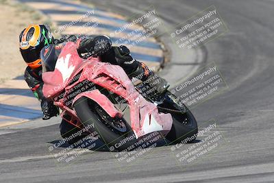 media/Nov-16-2025-Race Pace (Sun) [[8c5fa54630]]/Verified Riders/1-Turns 9 and 10 (925am)/